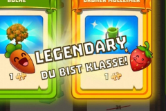 wim_booster