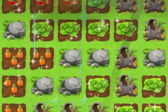 wim_storm